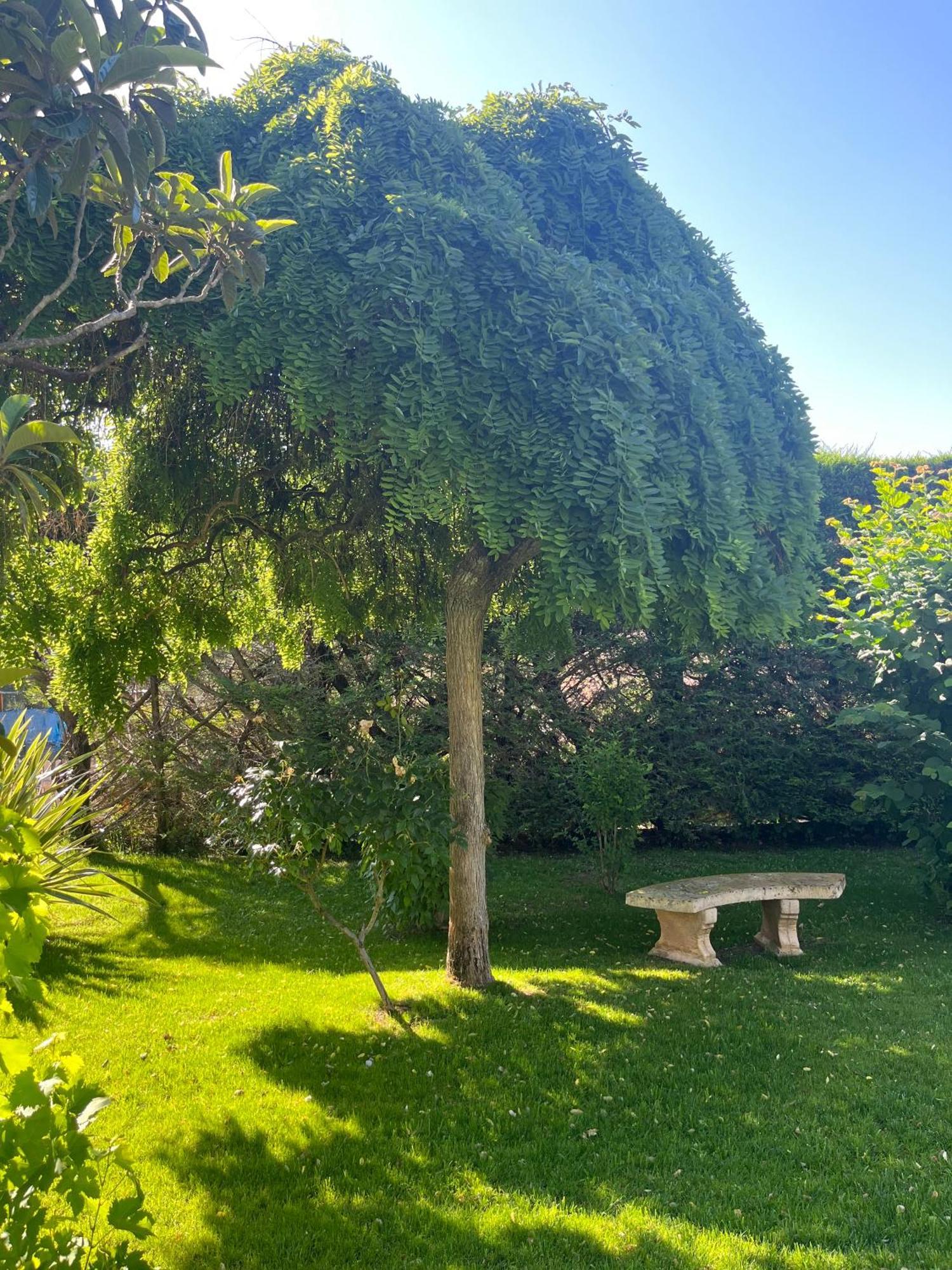 Le Clos Serein Le Beausset Exterior foto